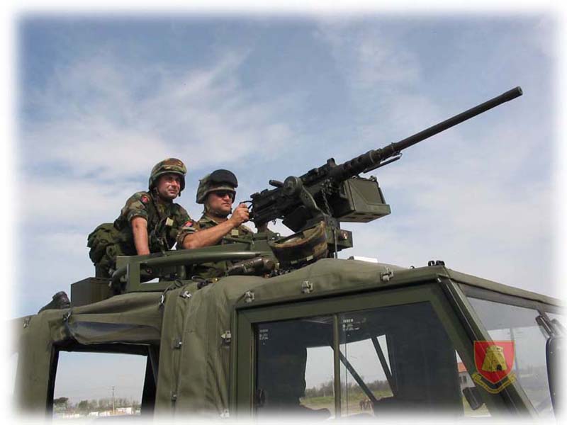 Range Practice-Browning 50 cal.jpg